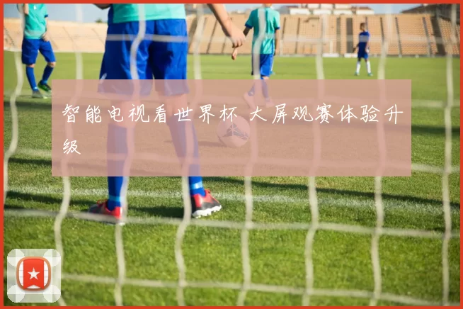 智能电视看世界杯 大屏观赛体验升级