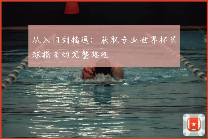 从入门到精通:获取专业世界杯买球指南的完整路径