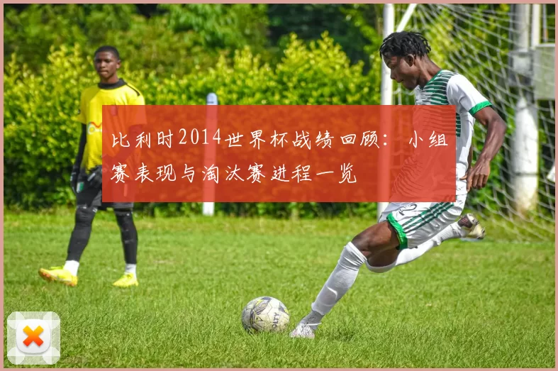 比利时2014世界杯战绩回顾：小组赛表现与淘汰赛进程一览