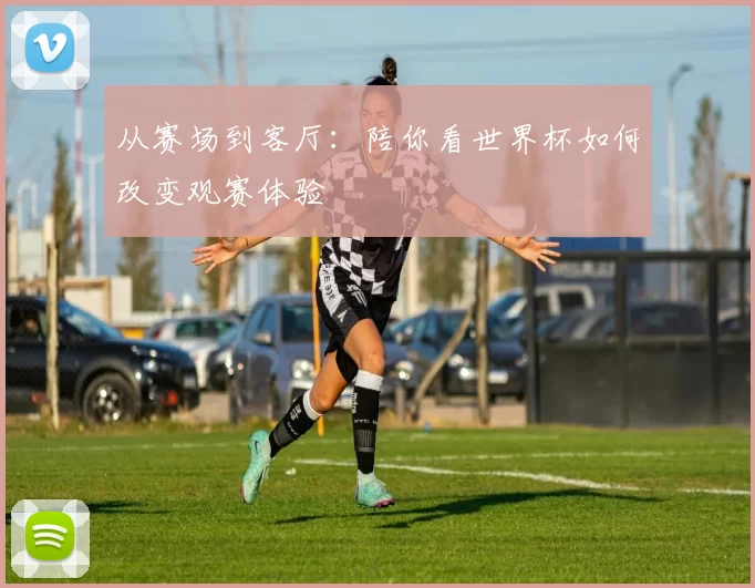 从赛场到客厅:陪你看世界杯如何改变观赛体验