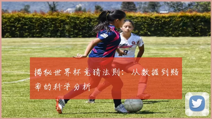 揭秘世界杯竞猜法则：从数据到赔率的科学分析