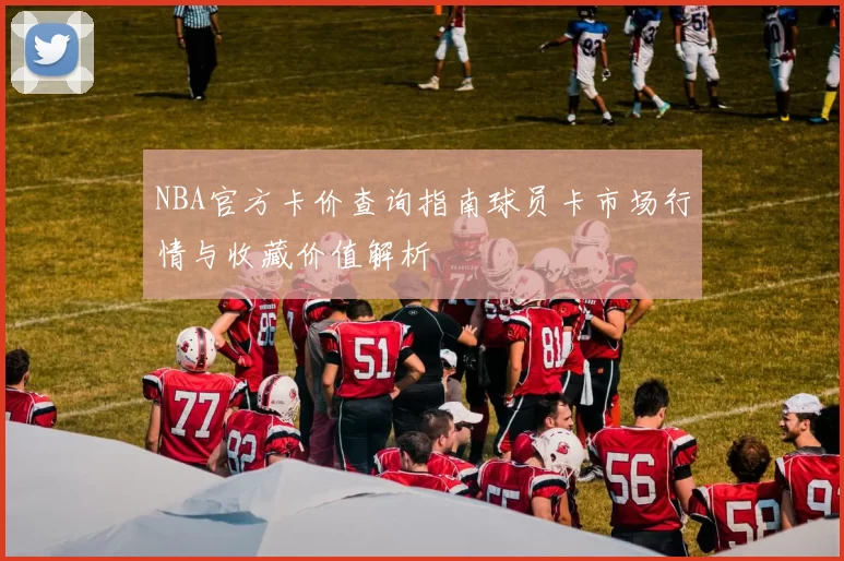 NBA官方卡价查询指南球员卡市场行情与收藏价值解析