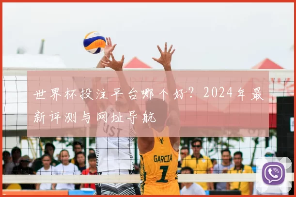 世界杯投注平台哪个好？2024年最新评测与网址导航