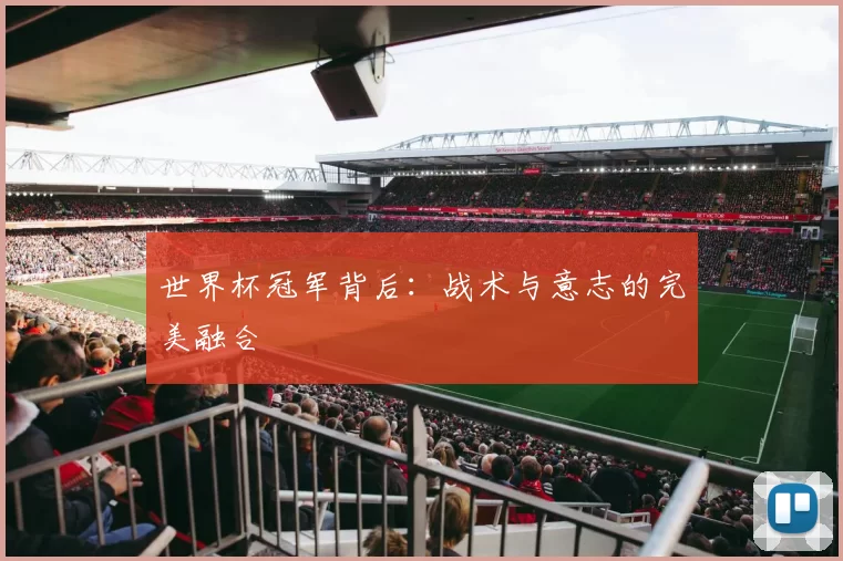 世界杯冠军背后：战术与意志的完美融合