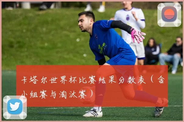 卡塔尔世界杯比赛结果分数表（含小组赛与淘汰赛）