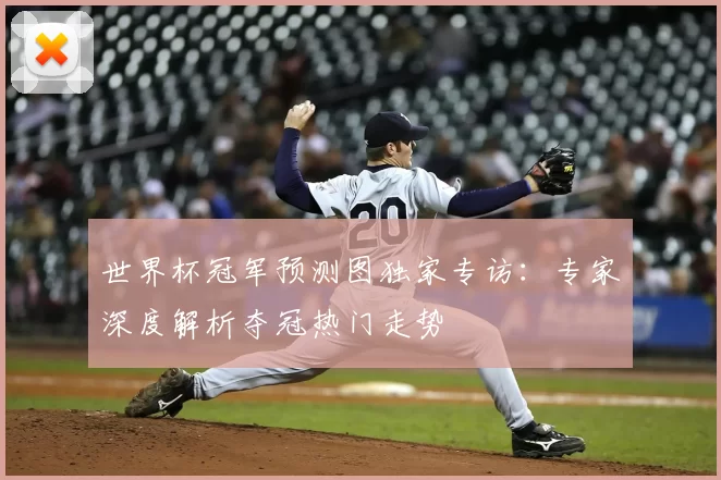 世界杯冠军预测图独家专访：专家深度解析夺冠热门走势