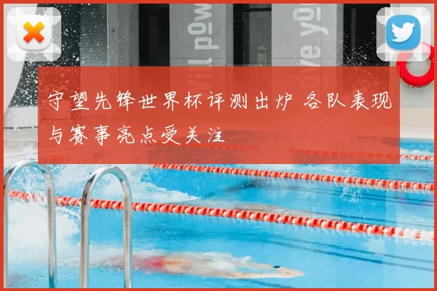 守望先锋世界杯评测出炉 各队表现与赛事亮点受关注