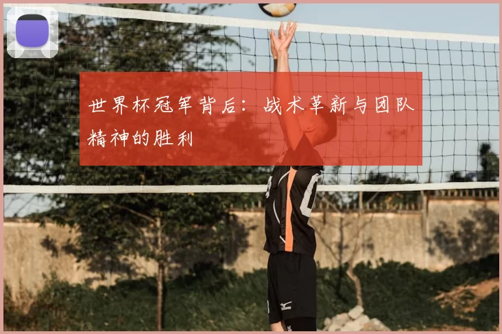 世界杯冠军背后：战术革新与团队精神的胜利